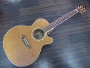 Takamine EF508C VN